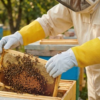 Guanti da apicoltore - con ventilazione - taglie: S-XXL