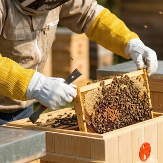 Guanti da apicoltore - con ventilazione - taglie: S-XXL