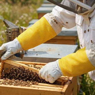 Guanti da apicoltore - con ventilazione - taglie: S-XXL
