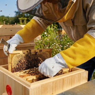 Guanti da apicoltore - con ventilazione - taglie: S-XXL