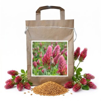 Trifoglio incarnato CARDINALE (incarnato) - 1 kg