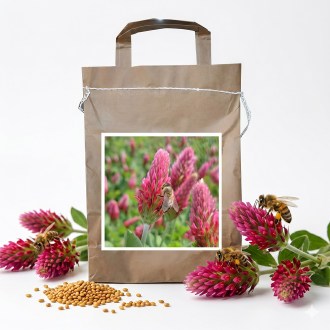 Trifoglio incarnato CARDINALE (incarnato) - 1 kg