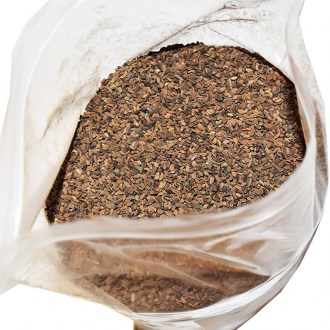 Facelia tanacetifoglia (semi / pascolo apistico) - 1 kg