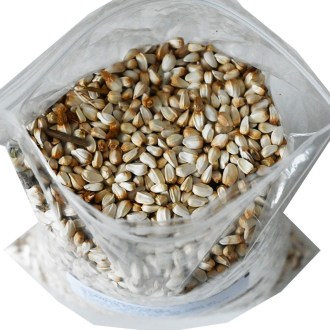 Cartamo da tintori (semi / pascolo apistico) - 0,5 kg