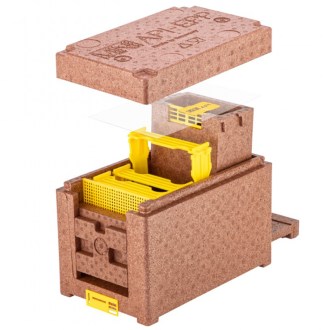 Nucleo di fecondazione MINI API EPP - marrone Lysoň