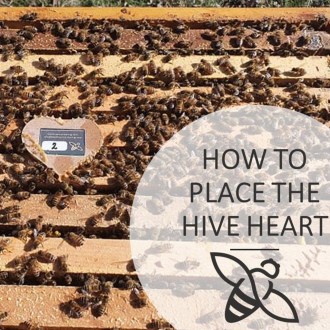 Sensore per arnia Bee Heart