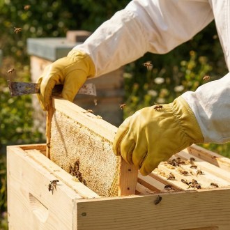 Guanti da apicoltore - impregnati - taglie: S-XXL