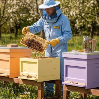 Tuta apistica con cappello - blu - Lysoň, taglia: S-XXXL