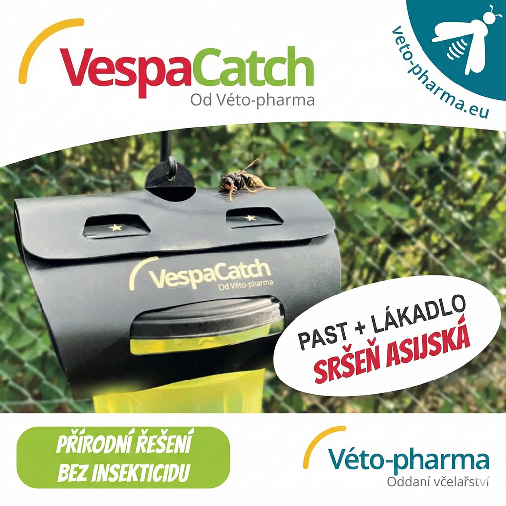 Trappola per calabroni asiatici VespaCatch