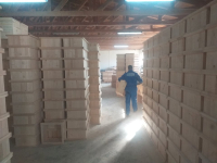 producción de colmena de abejas